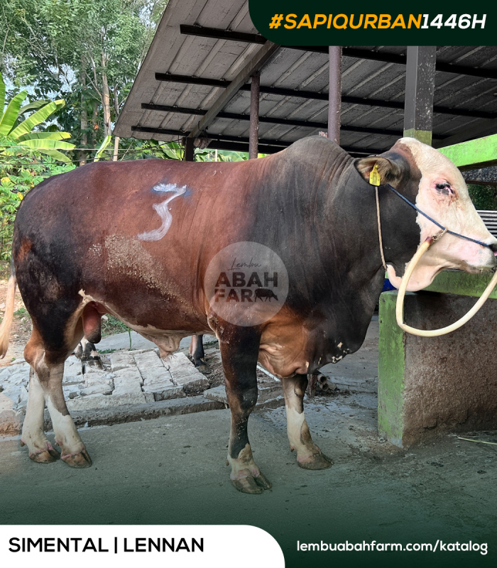 TARGET BOBOT 820 KG