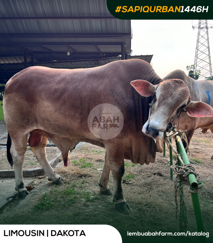 TARGET BOBOT 842 KG